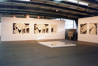 Novas Imagens, Helena Freddi