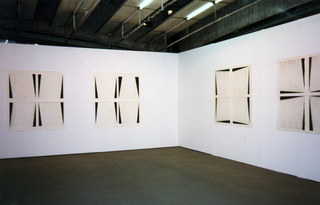 Novas Imagens, Renata Basile da Silva