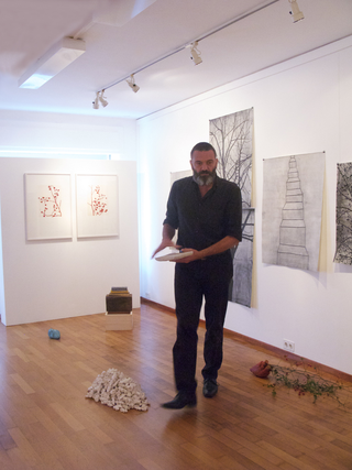 Tu sei un albero io sono un sasso, Galleria Carlo Mazzi. Allestimento.