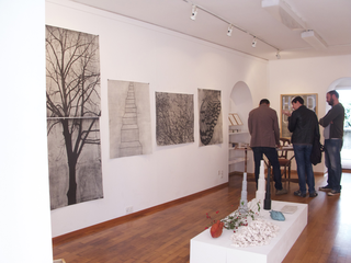 Tu sei un albero io sono un sasso