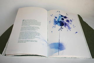 Il giardino è aperto