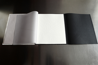 Aureole di altre stelle