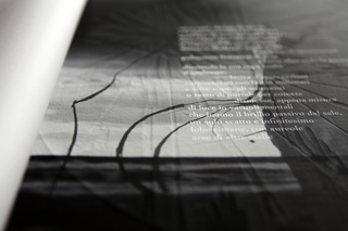 Aureole di altre stelle