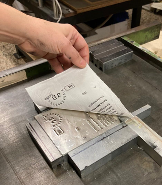 Survive thrive & have some fun!