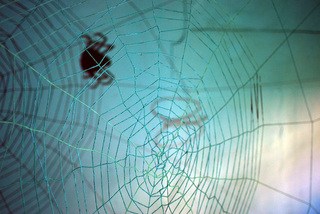 La dimensione nascosta